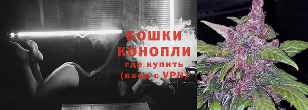 тгк Горно-Алтайск