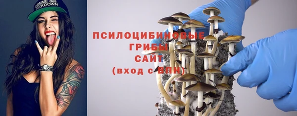 гидра Горнозаводск