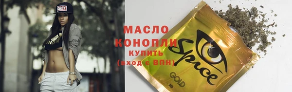 гидра Горнозаводск