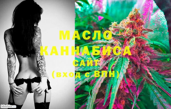 гидра Горнозаводск
