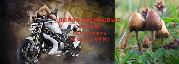 тгк Горно-Алтайск