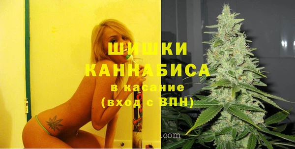 гидра Горнозаводск